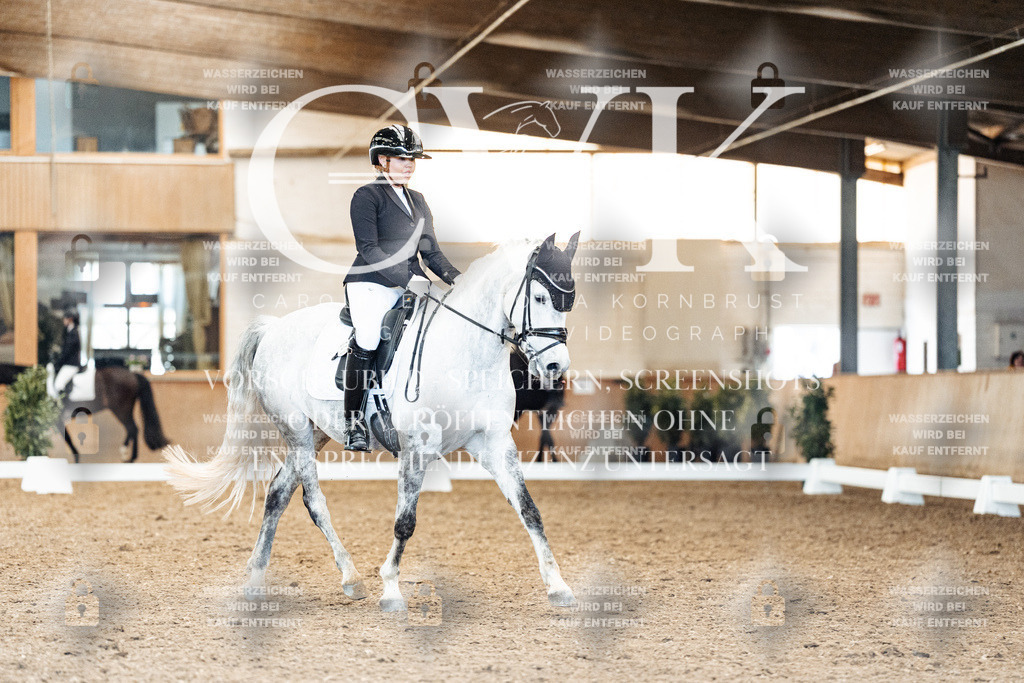 CK909639 | Turnierfotografie Pferdefotografie Trier Rheinland-Pfalz Pferdesport Reitsport Tierfotografie Sportfotografie Pferdevideo Pferdevideografie Equestrianvideography equestrianphotography  - Realisiert mit Pictrs.com