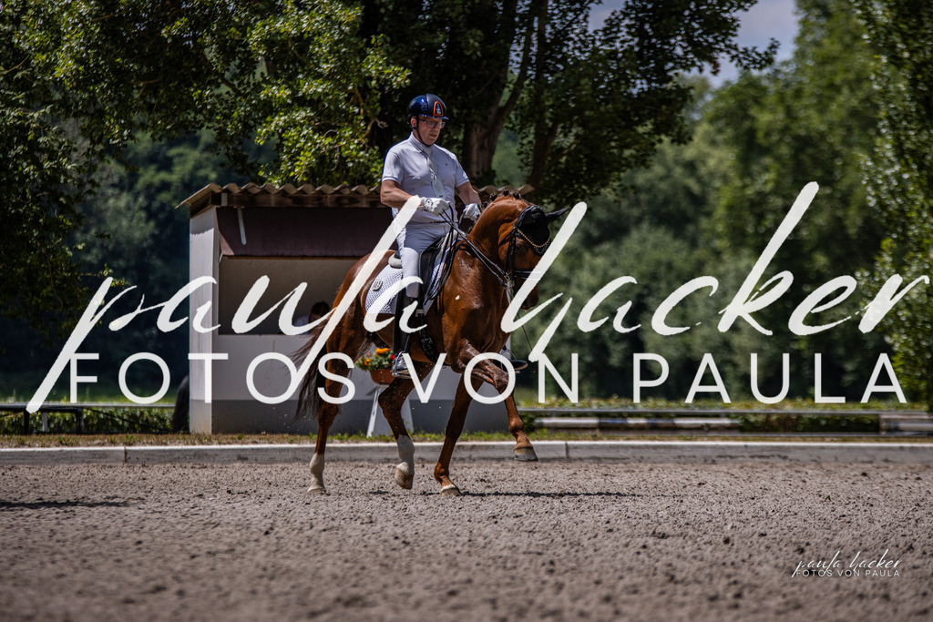 IMG_8362 | Erleben Sie dynamische Sport- und emotionale Tierfotografie in Süddeutschland mit Fotos von Paula. Spezialisiert auf Pferde- und Hundefotografie sowie Sportevents. Kontaktieren Sie mich für einzigartige und ausdrucksstarke Bilder Ihrer besonderen Momente. - Realisiert mit Pictrs.com