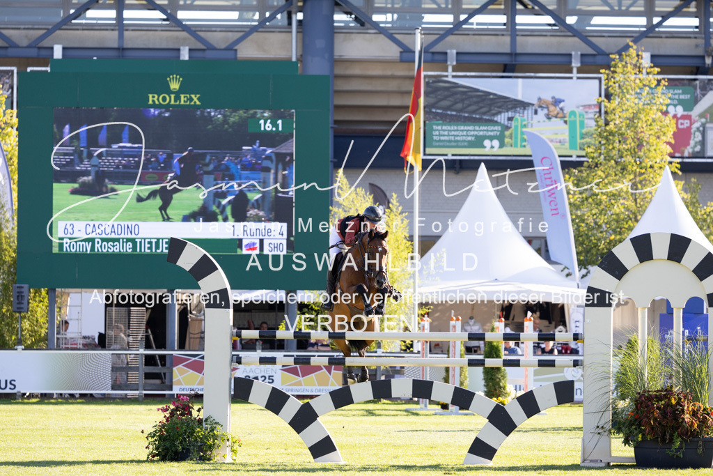 126A8715 | jasminmetznerfotografie