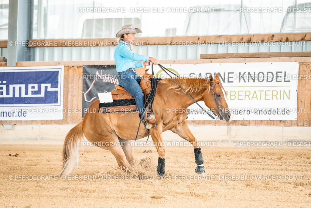 DSC02219 | Pferdegrafie