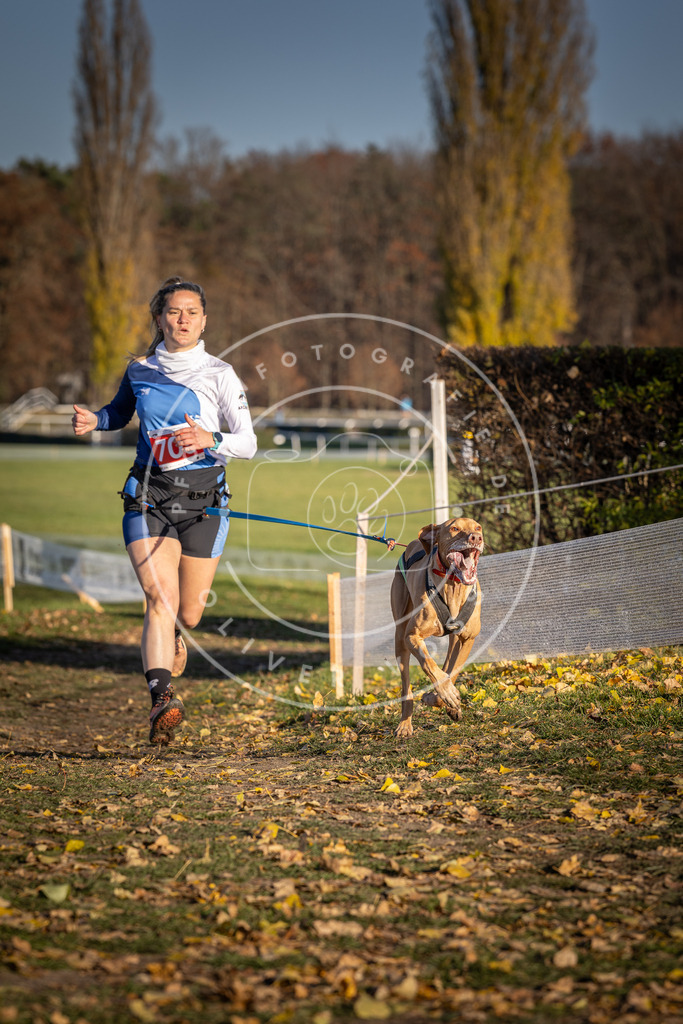 CaniXpix_DV3A1547 | Hundefotografie, Tierfotograf, Pfotenfotografie, Fotoshooting Hund, Hunde Portrait, Hundesport, Hundeportraits, Heideshooting, Hunde, Sportfotograf, Hundefotograf, Turnierhundsport, THS,  - Realisiert mit Pictrs.com