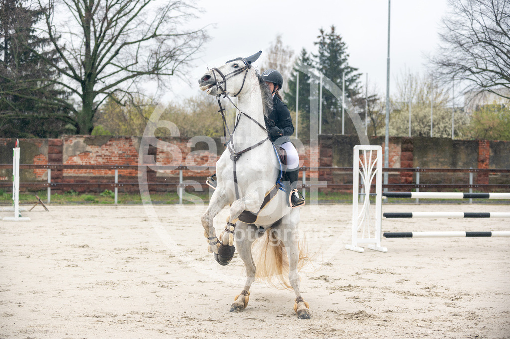 DSC_8264 | sattelsport - Realisiert mit Pictrs.com