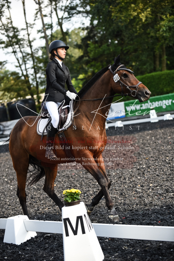 DSC_3500 | Pferde- und Turnierfotografie in Westsachsen. Pferdeportraits, Auftragszeichnungen und intuitive Kunst.
