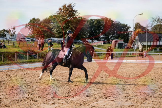 2026_10_03_Siefer-Hof_131702_Z63_78310087 | Professionelle Reitsport-, Turnier- und Eventfotografie von Robert Broda. Galerien mit ausgewählten und bearbeiteten Bildern direkt online ansehen und bestellen.