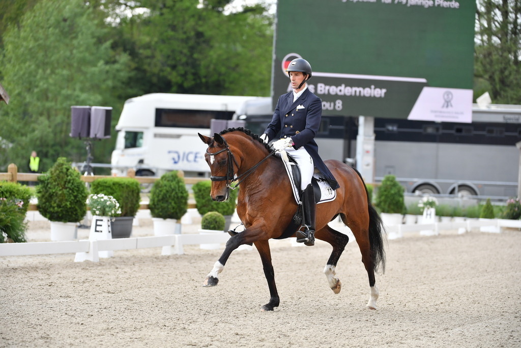 AntsBredemeier-25-44 | Der professionelle Turnierfotograf ✓ Reitsport Bilder ▷ Shop ✚ günstig & schnell ✚ mit Zugang für Redakteure