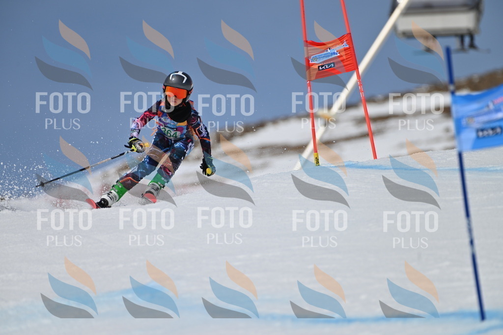 BGV_7182 | holidayphoto