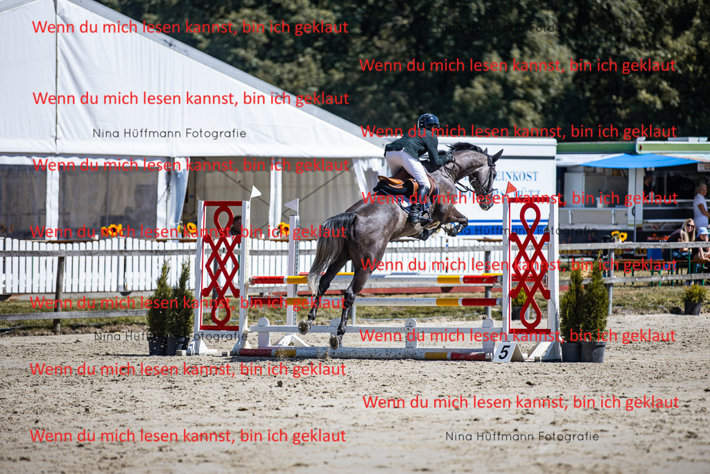 BK1A5305 | Turnierbilder Turnierfotos Nina Hüffmann Turnierfotografie Pferdefotografie Tierzeichnung Haustierzeichnung Pferdezeichnung Hundezeichnung Videograf  - Realisiert mit Pictrs.com
