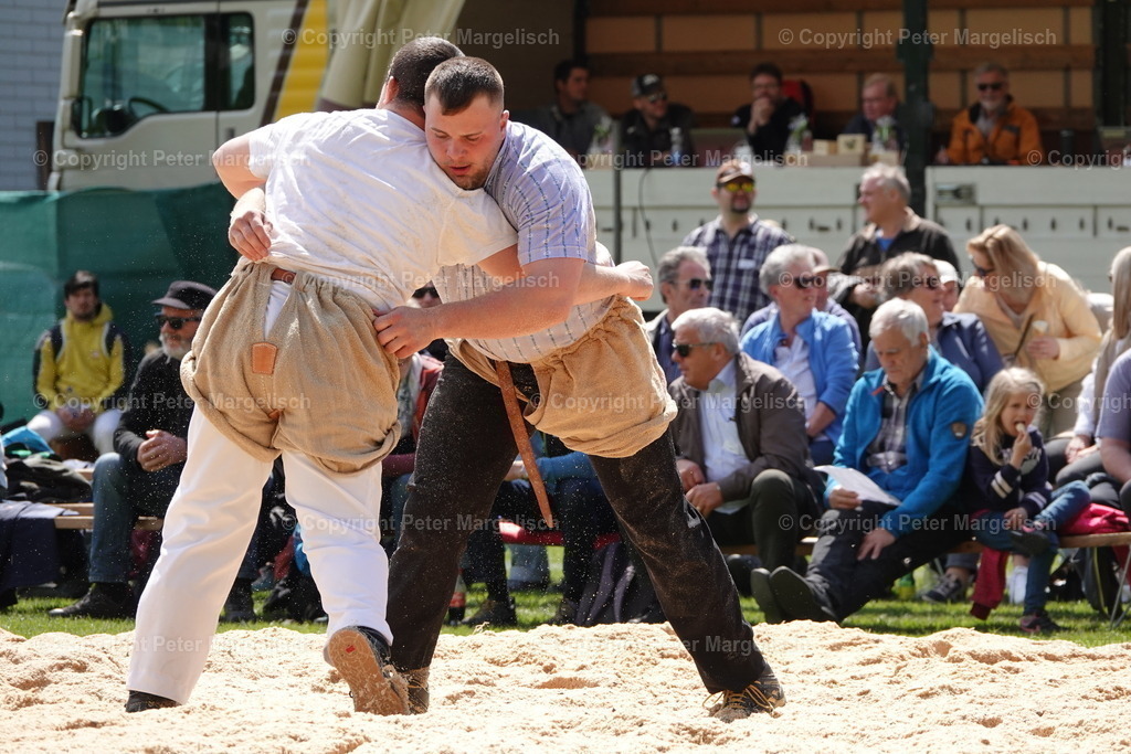 DSC03140 | Schwingen - Realisiert mit Pictrs.com