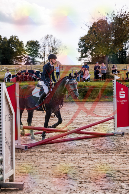 2026_10_03_Siefer-Hof_144848_Z81_26374714 | Professionelle Reitsport-, Turnier- und Eventfotografie von Robert Broda. Galerien mit ausgewählten und bearbeiteten Bildern direkt online ansehen und bestellen.