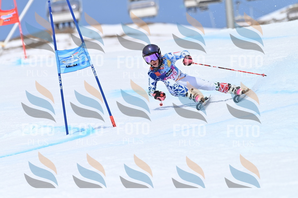 BGV_2331 | holidayphoto