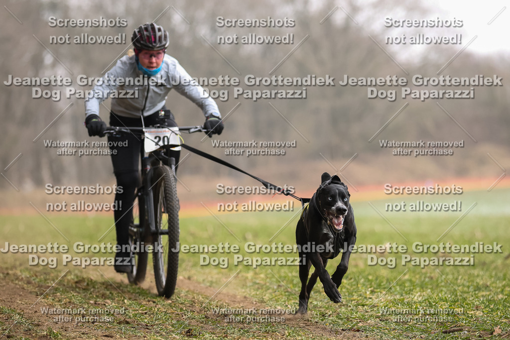 Dog Paparazzi - Plate 2026-74 | Dog Paparazzi Jeanette Grottendiek Fotografie & Videografie - Realisiert mit Pictrs.com