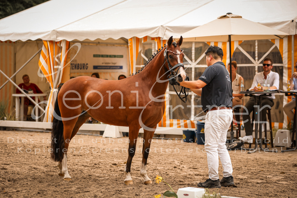 12.So00027 | Leoni Ertmer Photography - Realisiert mit Pictrs.com