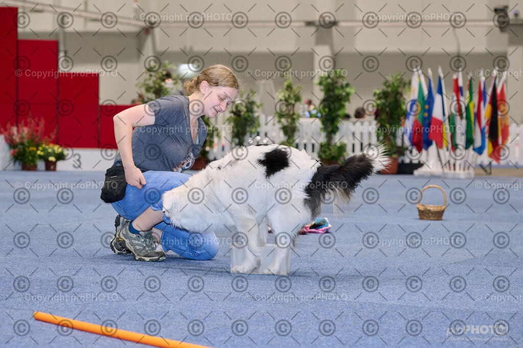 202406_ÖKV-IHA-Tulln24_NZ9_7690 | proPHOTO - Realisiert mit Pictrs.com