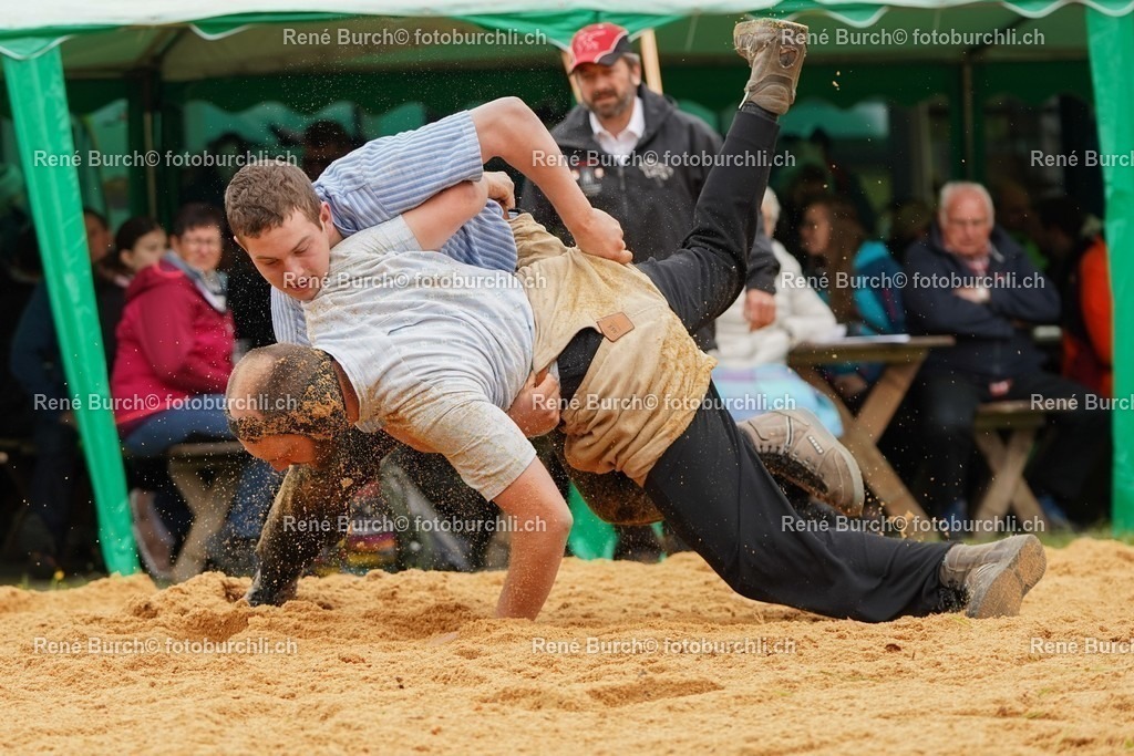 20220424-DSC09134 | René Burch leidenschaftlicher Fotograf aus Kerns in Obwalden.  Hier finden sie Sport, Landschaft und Natur Fotografie.
 - Realisiert mit Pictrs.com