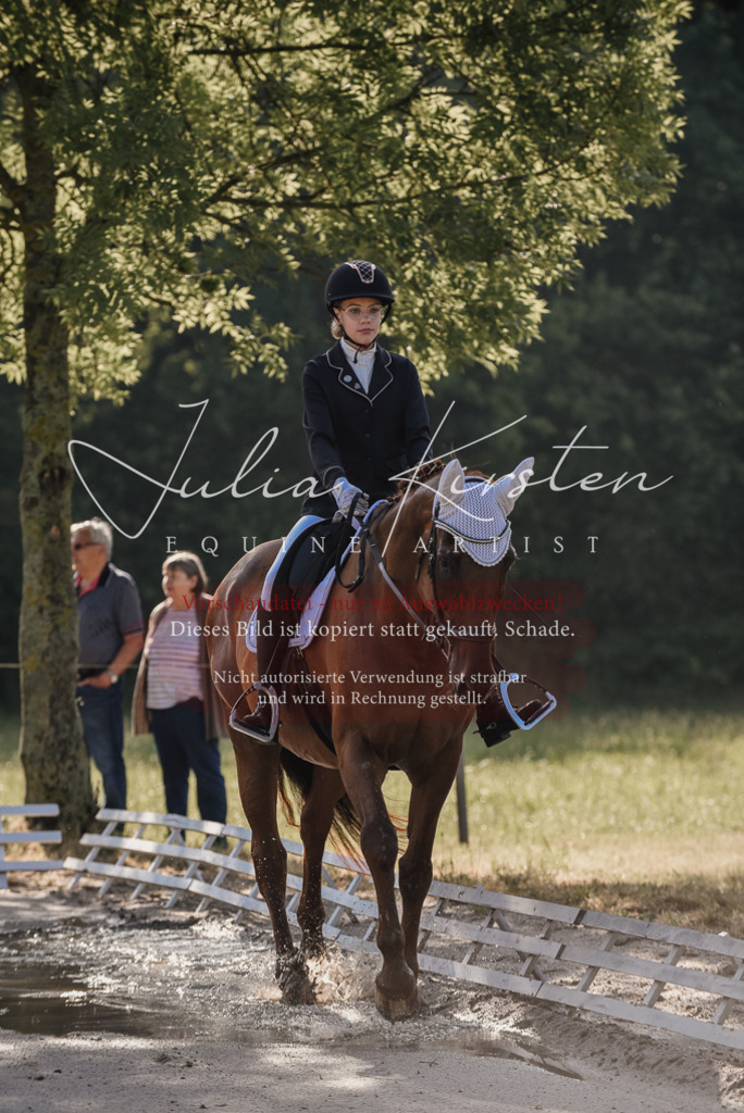 DSC_7669 | Pferde- und Turnierfotografie in Westsachsen. Pferdeportraits, Auftragszeichnungen und intuitive Kunst.