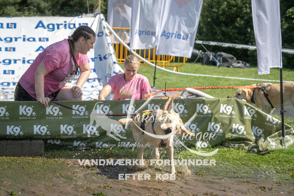 1151_ZZ94439 | kk-dogfotos