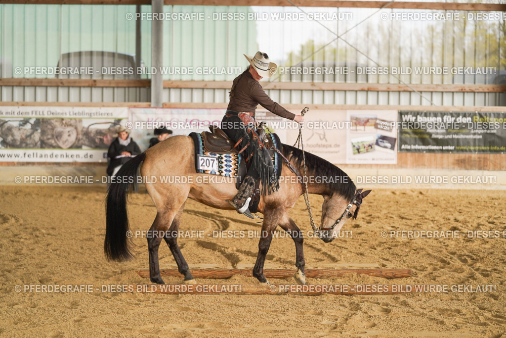 DSC01751 | Pferdegrafie