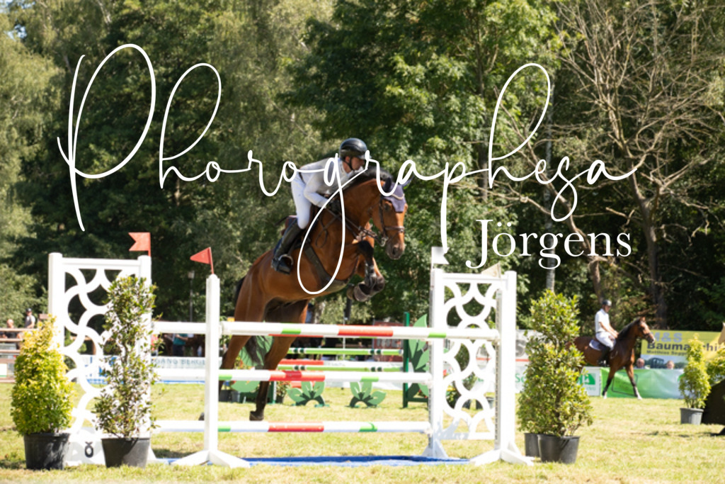 IMG_9156 | photographesa-joergens - Realisiert mit Pictrs.com