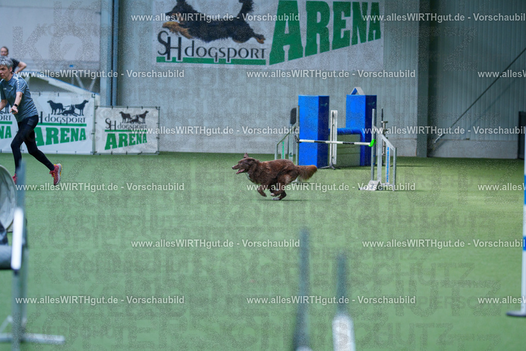 @allesWIRTHgut_Tierfotografie - www.allesWIRTHgut.de - 2604261355-7R502944 | Professionelle Tierfotografie in Mönchengladbach von Daniel Wirth (allesWIRTHgut). Liebevolle & natürliche Bilder von Hunden & Katzen für unvergessliche Erinnerungen.