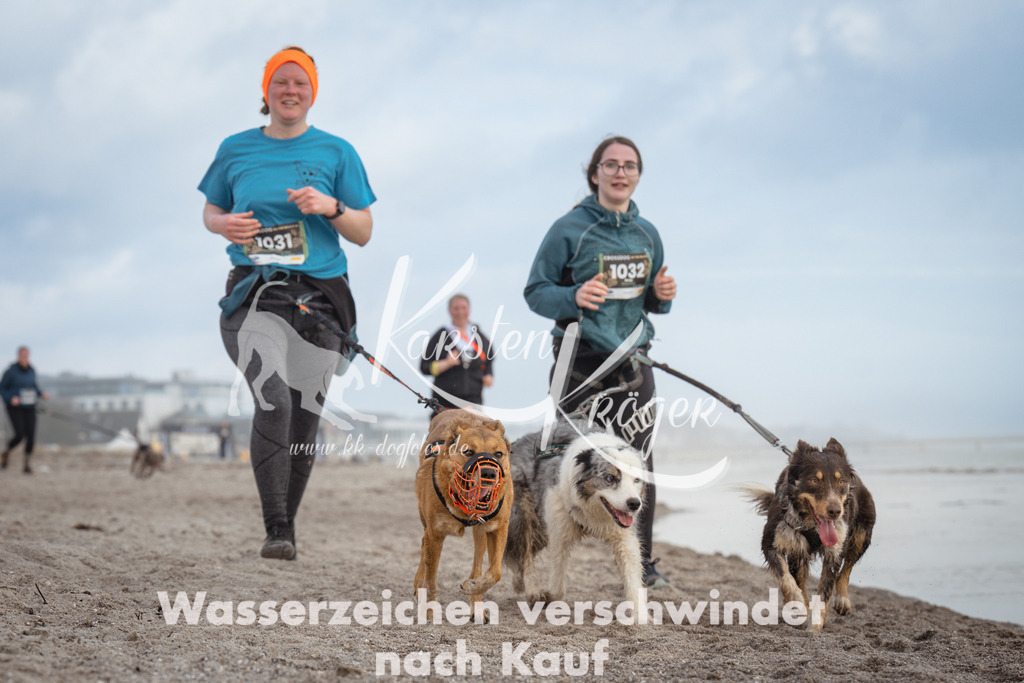 1213_ZZ95097 | kk-dogfotos