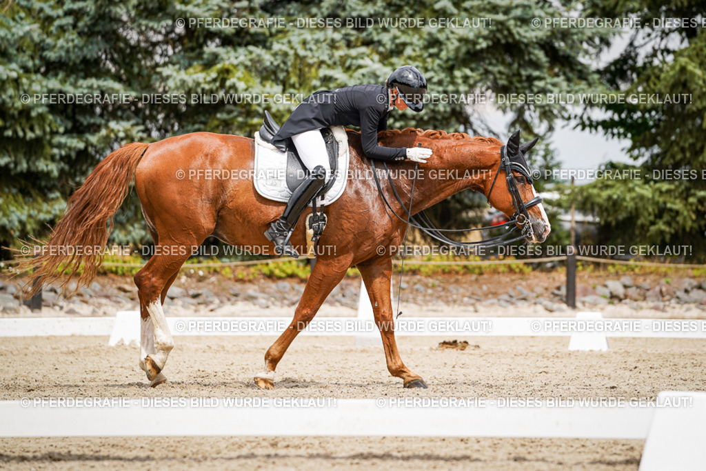 DSC05806 | Pferdegrafie