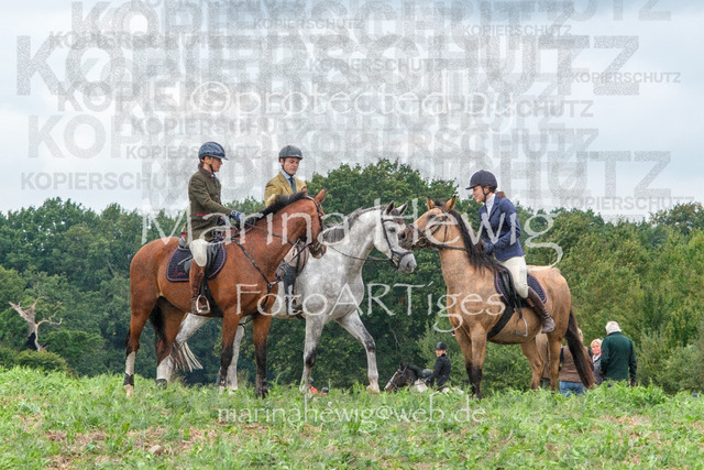 Jagd Perdoel_MarinaHewigDSCF3839 | Fotografie, FotoArt, PferdesportArt, Pferdesportfotografie, Landschaftsfotografie, Reisefotografie, Reise, Pferde - Realisiert mit Pictrs.com