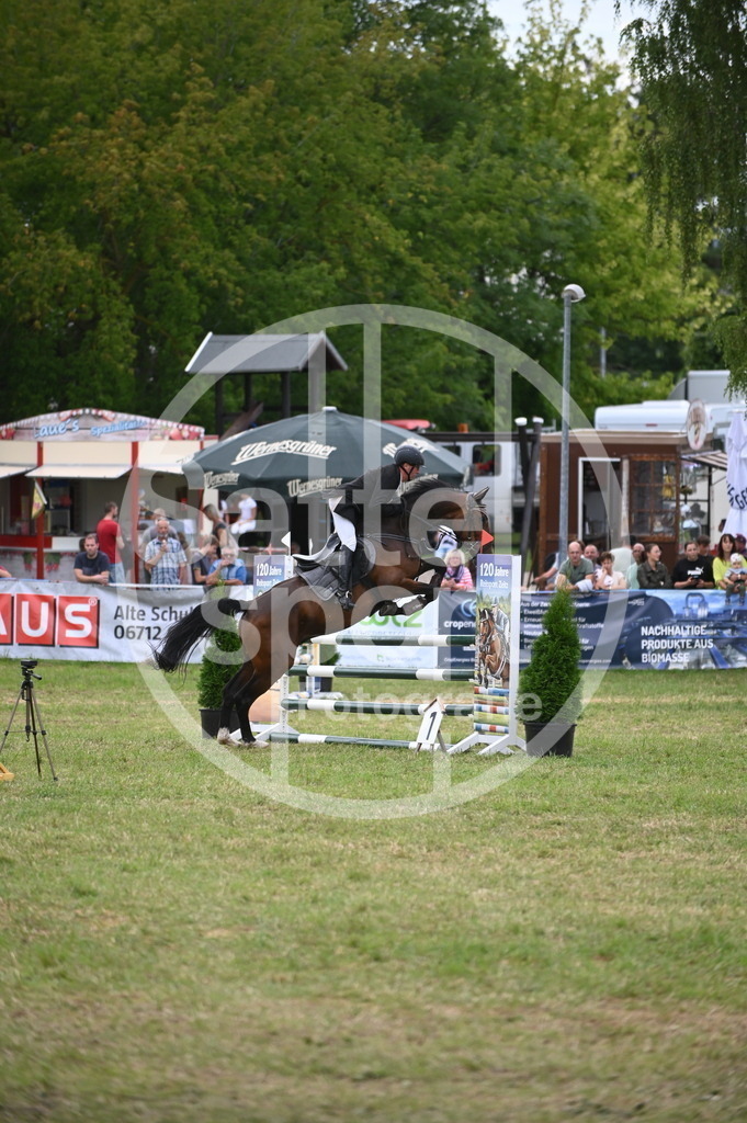 DSC_7208 | sattelsport - Realisiert mit Pictrs.com