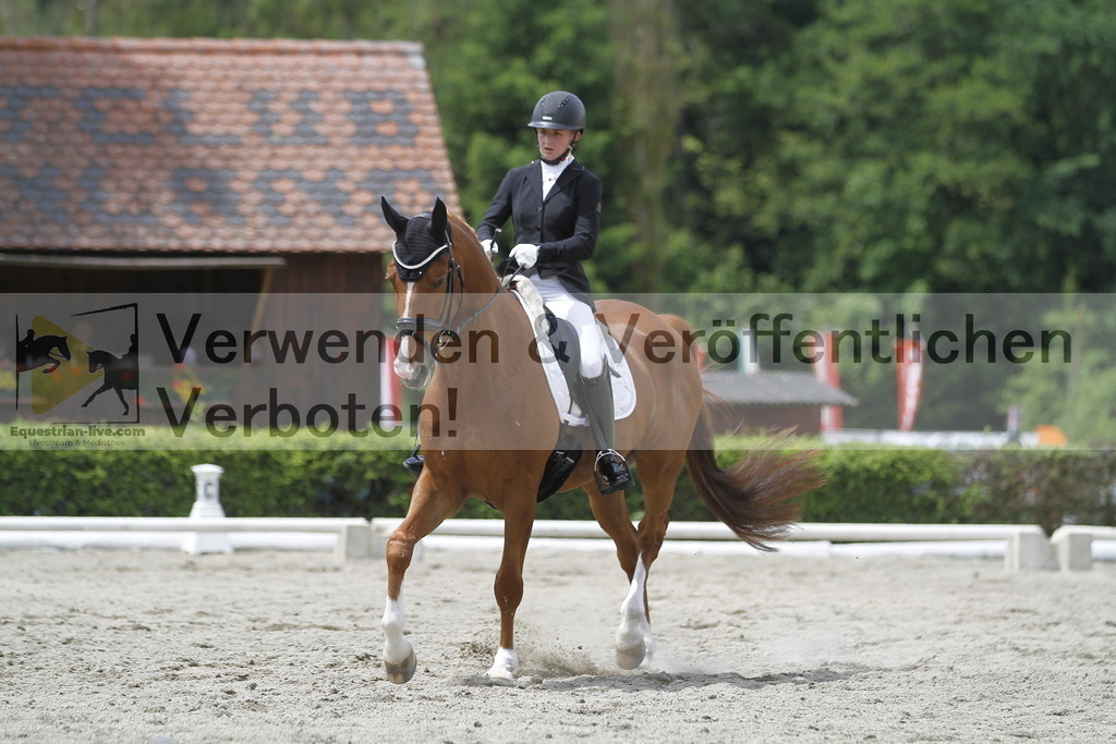 _MG_9208 | equestrian-live-com
