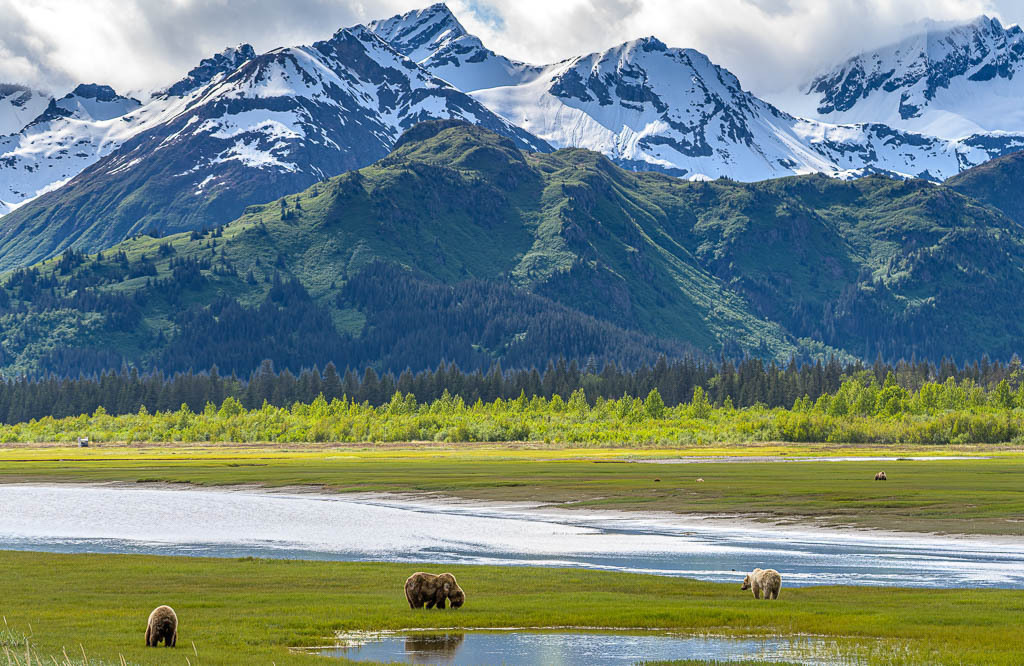 Alaska | Flug von Homer zu den Bärengebieten in Lake Clark NP und Katmai NP. - Realisiert mit Pictrs.com