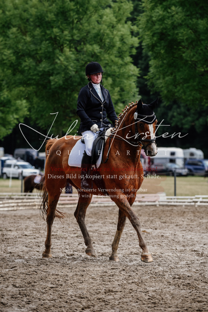 DSC_0683 | Pferde- und Turnierfotografie in Westsachsen. Pferdeportraits, Auftragszeichnungen und intuitive Kunst.