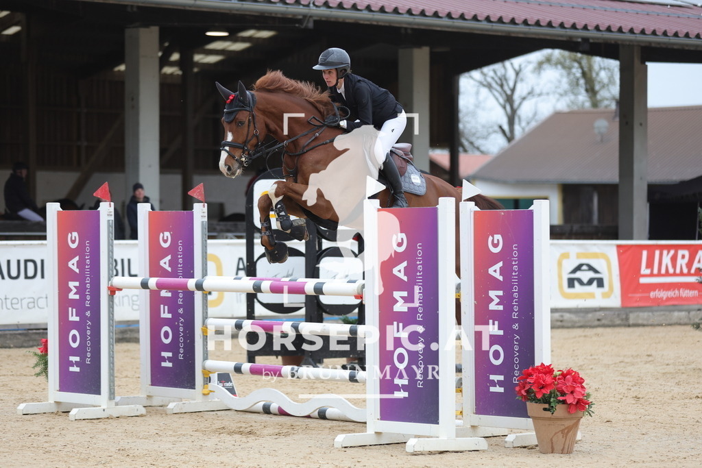 0P6A3131 | Willkommen bei Brunnmayr - Design & Fotografie – Ihrem Spezialisten für Reitturniere und Pferdeveranstaltungen in Oberösterreich, Salzburg und Bayern! Seit über 17 Jahren sind wir leidenschaftlich dabei.