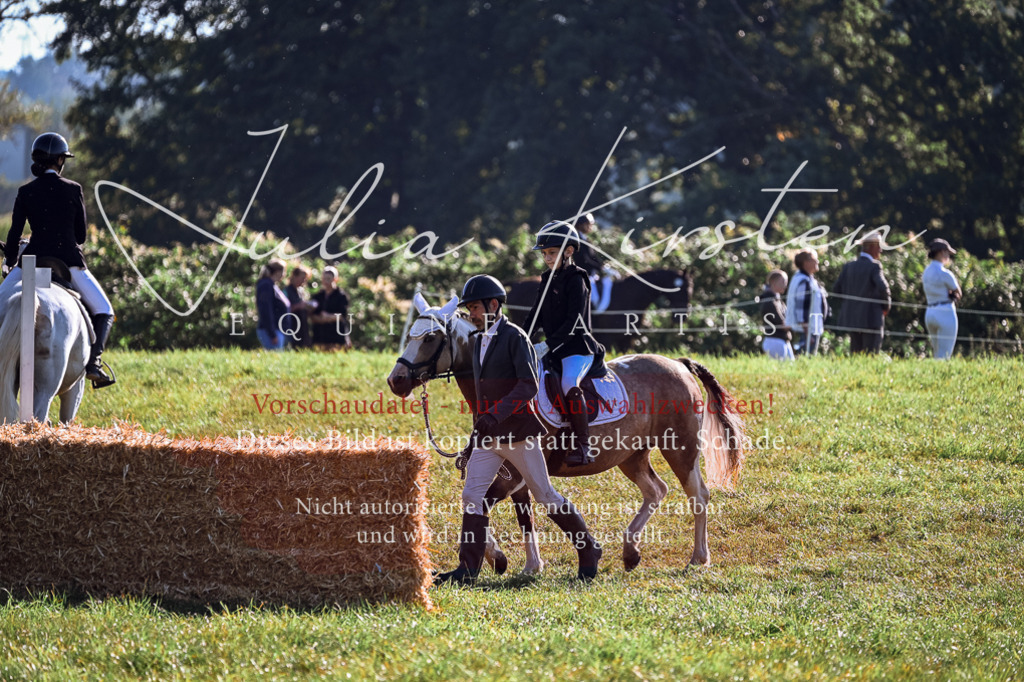 DSC_0326 | Pferde- und Turnierfotografie in Westsachsen. Pferdeportraits, Auftragszeichnungen und intuitive Kunst.
