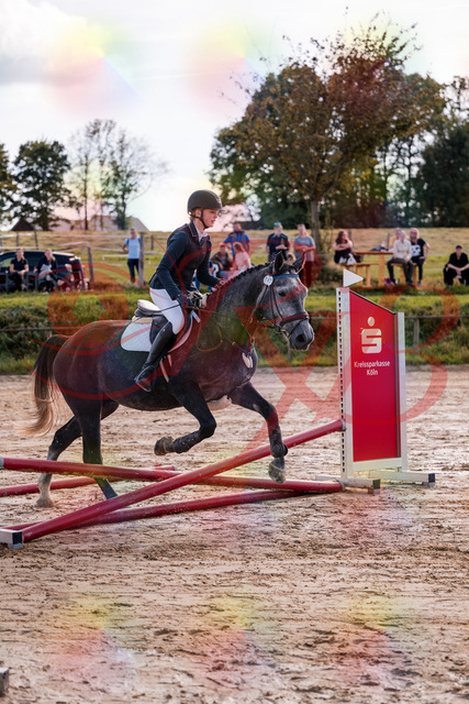 2026_10_03_Siefer-Hof_144848_Z81_26414718 | Professionelle Reitsport-, Turnier- und Eventfotografie von Robert Broda. Galerien mit ausgewählten und bearbeiteten Bildern direkt online ansehen und bestellen.