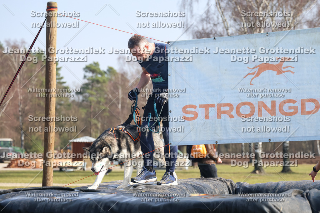 Dog Paparazzi - Strongdog North Mrz26-1598 | Dog Paparazzi Jeanette Grottendiek Fotografie & Videografie - Realisiert mit Pictrs.com