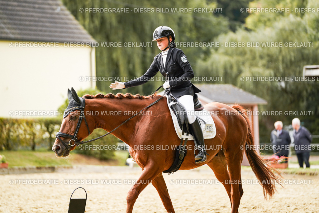 DSC01929 | Pferdegrafie