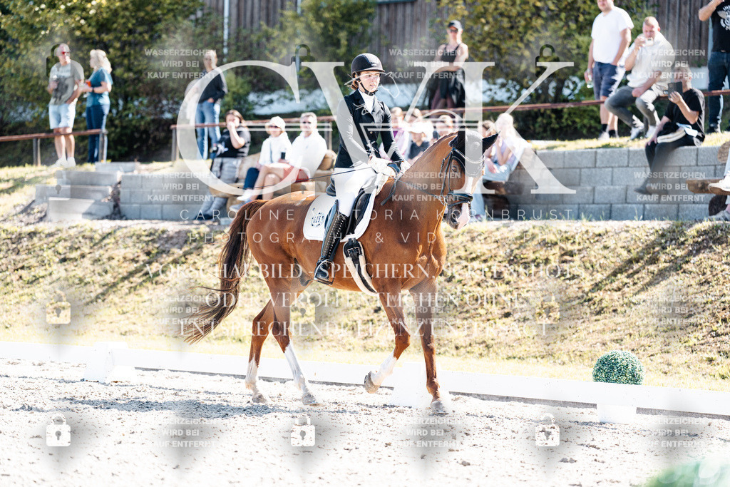CK909550 | Turnierfotografie Pferdefotografie Trier Rheinland-Pfalz Pferdesport Reitsport Tierfotografie Sportfotografie Pferdevideo Pferdevideografie Equestrianvideography equestrianphotography  - Realisiert mit Pictrs.com