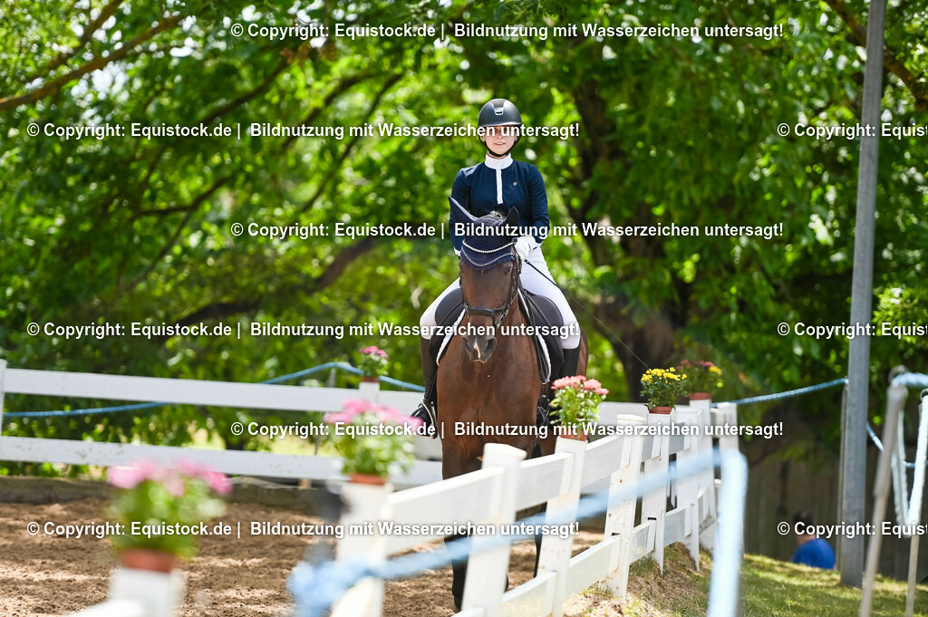 20230716_03_Dressurprfg. Kl.L - Tr._0271 | equistock