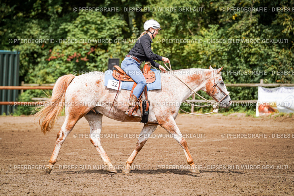 DSC07286 | Pferdegrafie