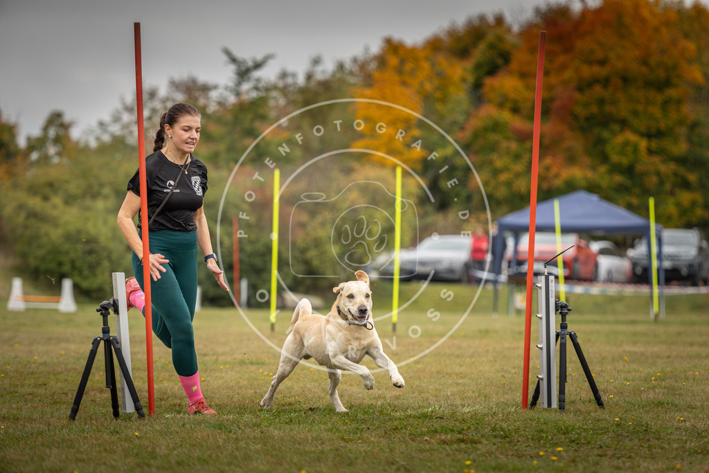 Pfotenfotografie_DV3A3849 | Hundefotografie, Tierfotograf, Pfotenfotografie, Fotoshooting Hund, Hunde Portrait, Hundesport, Hundeportraits, Heideshooting, Hunde, Sportfotograf, Hundefotograf, Turnierhundsport, THS,  - Realisiert mit Pictrs.com