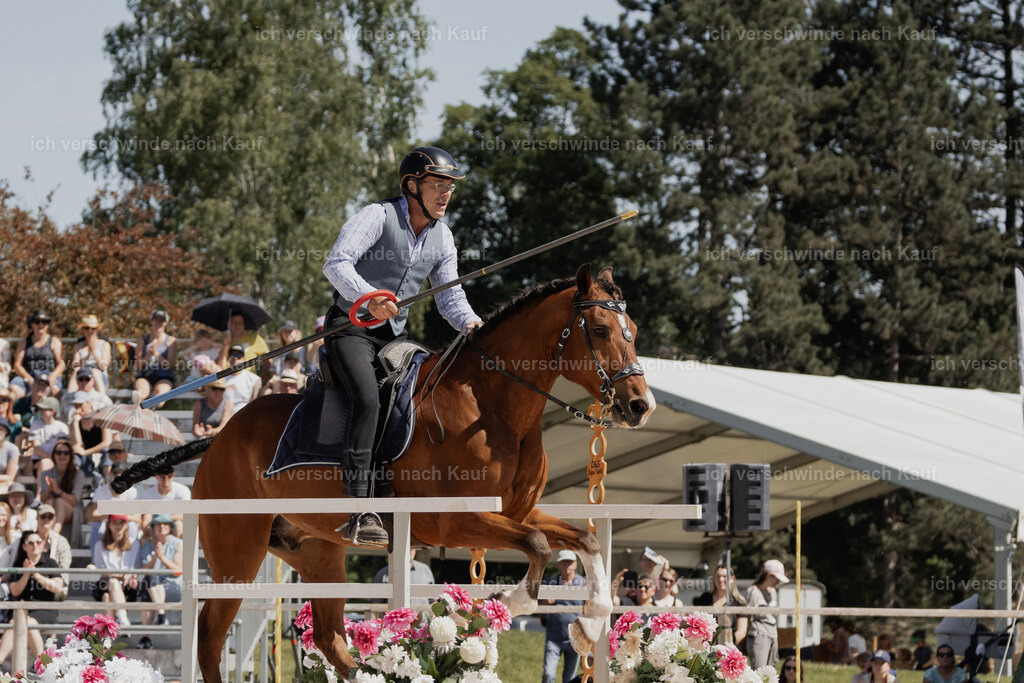 WE_SP_Stoib_339_PI2025_1507 | Pferd International München 2025