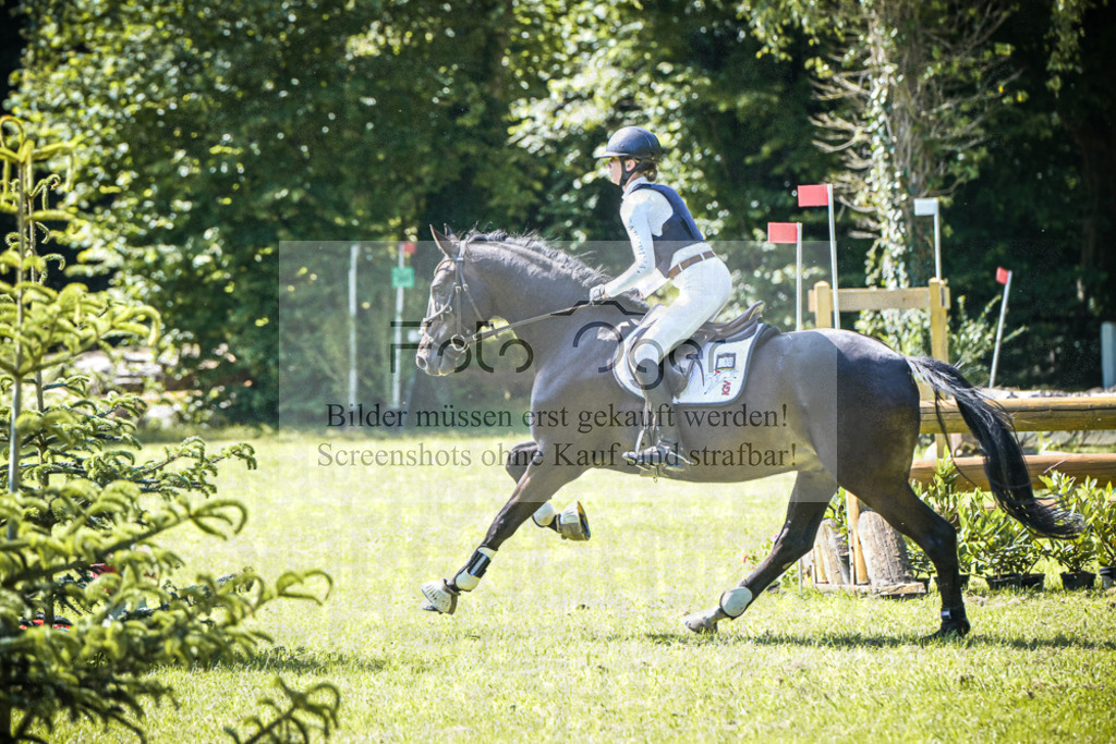 DOS_6034 | Entdecke hochwertige Reitturnierfotos von Foto Oger. Professionell, emotional und authentisch – jetzt Lieblingsmomente im Shop bestellen.Deutschlandweite Turnierfotografie. - Realisiert mit Pictrs.com