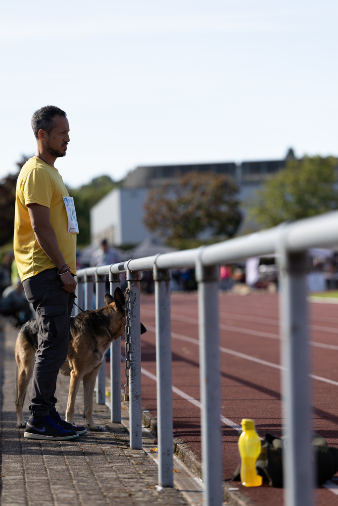 Pfotenfotografie_DV3A4907 | Hundefotografie, Tierfotograf, Pfotenfotografie, Fotoshooting Hund, Hunde Portrait, Hundesport, Hundeportraits, Heideshooting, Hunde, Sportfotograf, Hundefotograf, Turnierhundsport, THS,  - Realisiert mit Pictrs.com