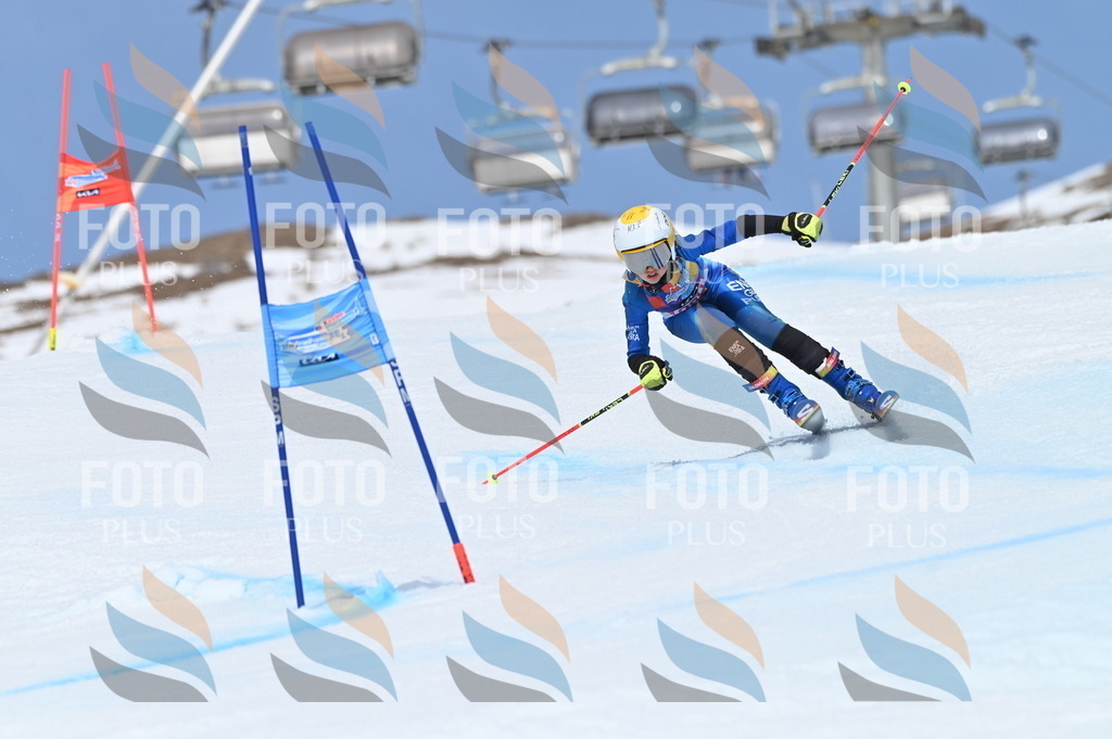 BGV_2403 | holidayphoto