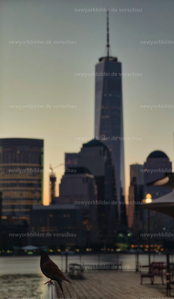 Morgenruhe am Hudson – Skyline von Manhattan und eine Taube am Geländer | Ein Morgen an der Exchange Place Plaza – die Luft ist frisch, die Straßen sind leer, und die Skyline von Manhattan erwacht langsam im Licht der aufgehenden Sonne. Vor dir sitzt eine einzelne Taube auf dem Geländer, als würde sie die Aussicht genauso genießen wie du. Der Hudson River liegt still, während die ersten Sonnenstrahlen die Wolkenkratzer in sanftes Licht tauchen. Dieses Motiv vereint Ruhe und Größe: die Stille des Morgens und die monumentale Präsenz der Skyline. Es ist ein Bild, das die Balance zwischen Natur und urbaner Architektur zeigt und die Magie jener Momente einfängt, in denen New York für einen Augenblick innehält.