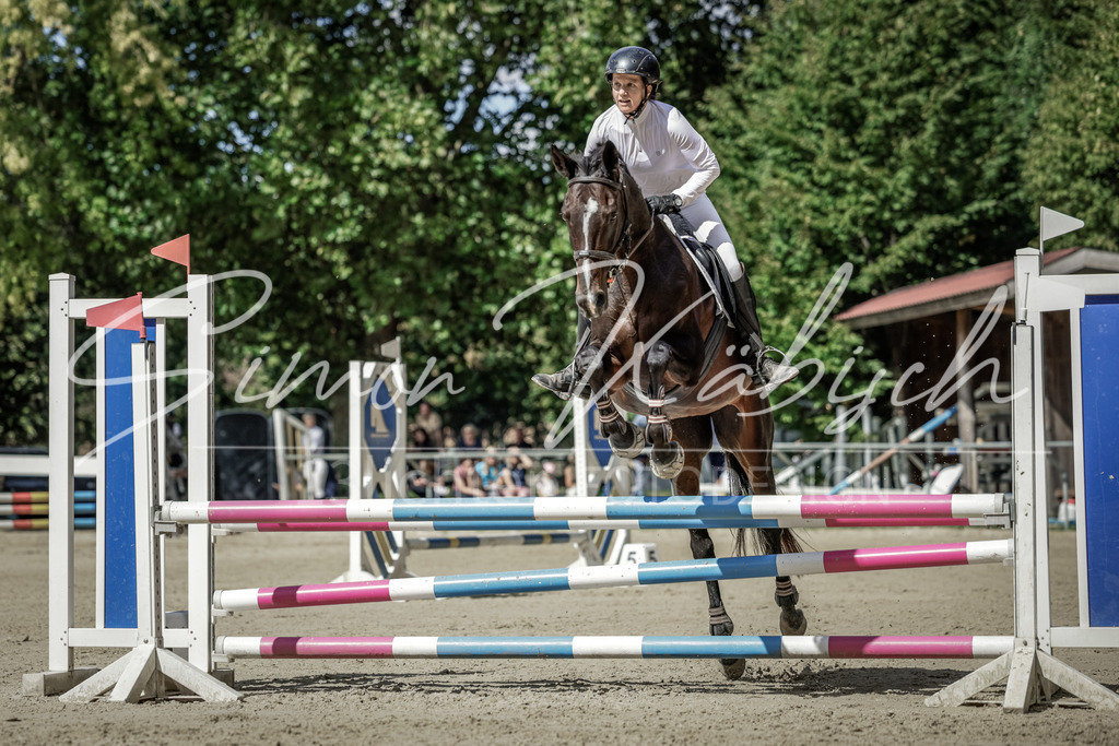 20250906-_3LI5991 | Tierfotografie Pferde, Hunde, Katzen, Haustiere.
Turnierfotografie Reitturniere, Reiten, Springreiten, Dressur in Hanau, dem Main-Kinzig-Kreis und dem Rhein-Main- Gebiet um Frankfurt