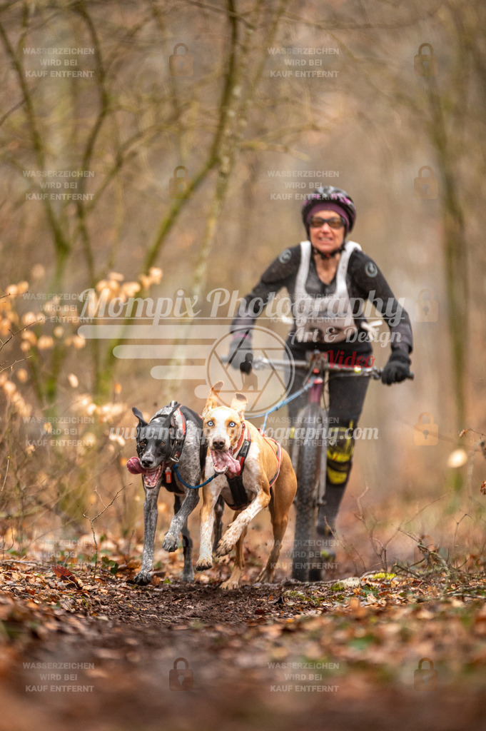 Reiat2023_SON_DS2_5km_2H-12 | mompixphotography