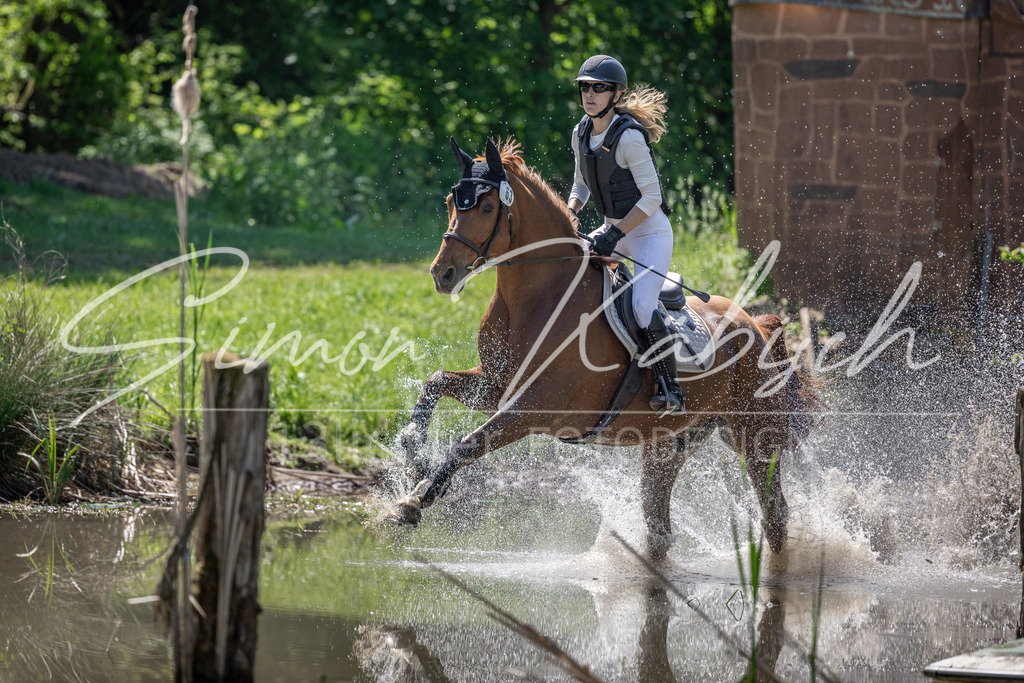 20260523-_3LI7826 | Tierfotografie Pferde, Hunde, Katzen, Haustiere.
Turnierfotografie Reitturniere, Reiten, Springreiten, Dressur in Hanau, dem Main-Kinzig-Kreis und dem Rhein-Main- Gebiet um Frankfurt