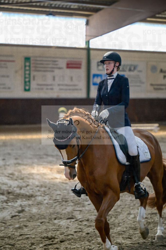 Reitturnier Voxtrup | Entdecke hochwertige Reitturnierfotos von Foto Oger. Professionell, emotional und authentisch – jetzt Lieblingsmomente im Shop bestellen.Deutschlandweite Turnierfotografie. - Realisiert mit Pictrs.com