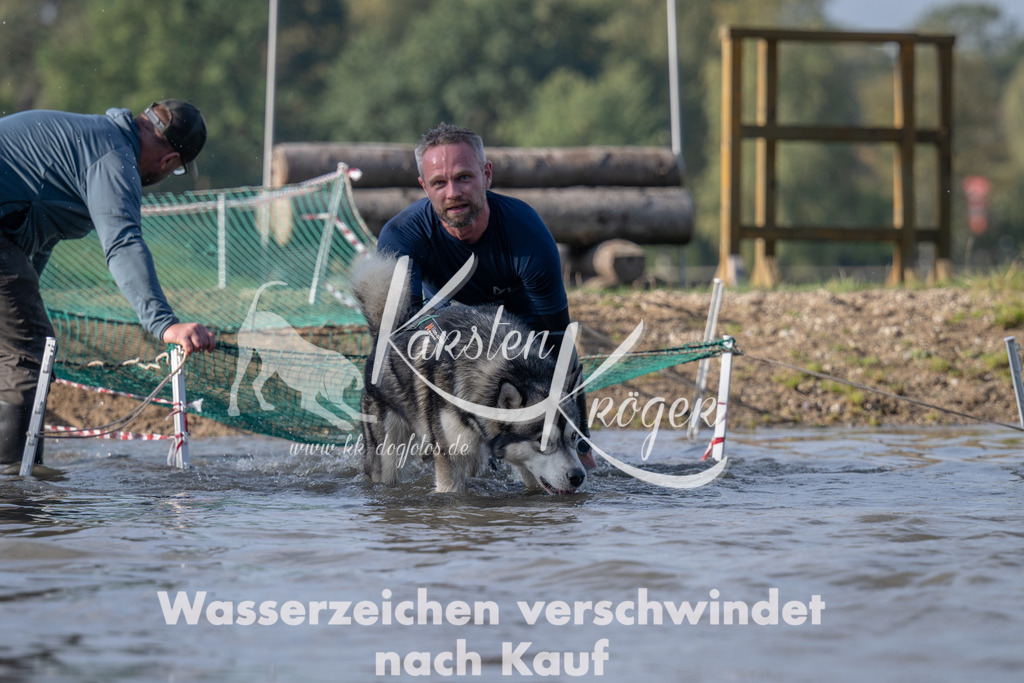 1041_ZZ94638 | kk-dogfotos