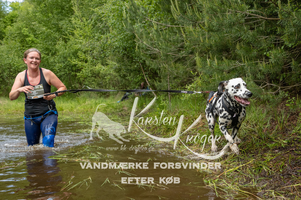 1110DKK994240 | kk-dogfotos